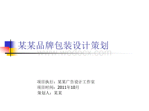 包装设计作业模板PPT.ppt