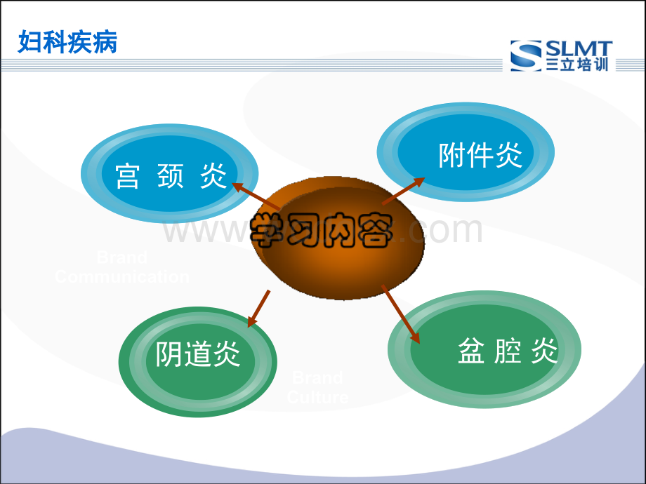 妇科课件优化.ppt_第3页