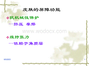 皮肤学与皮肤美容学课件(第三讲).ppt