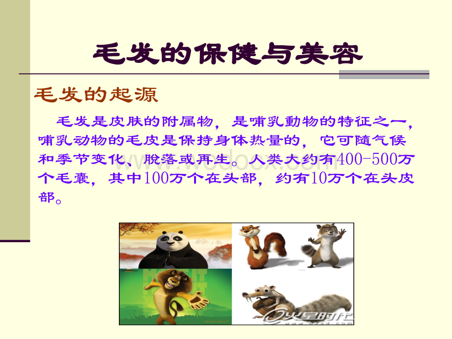 皮肤学与皮肤美容学课件(第五讲-).ppt_第1页