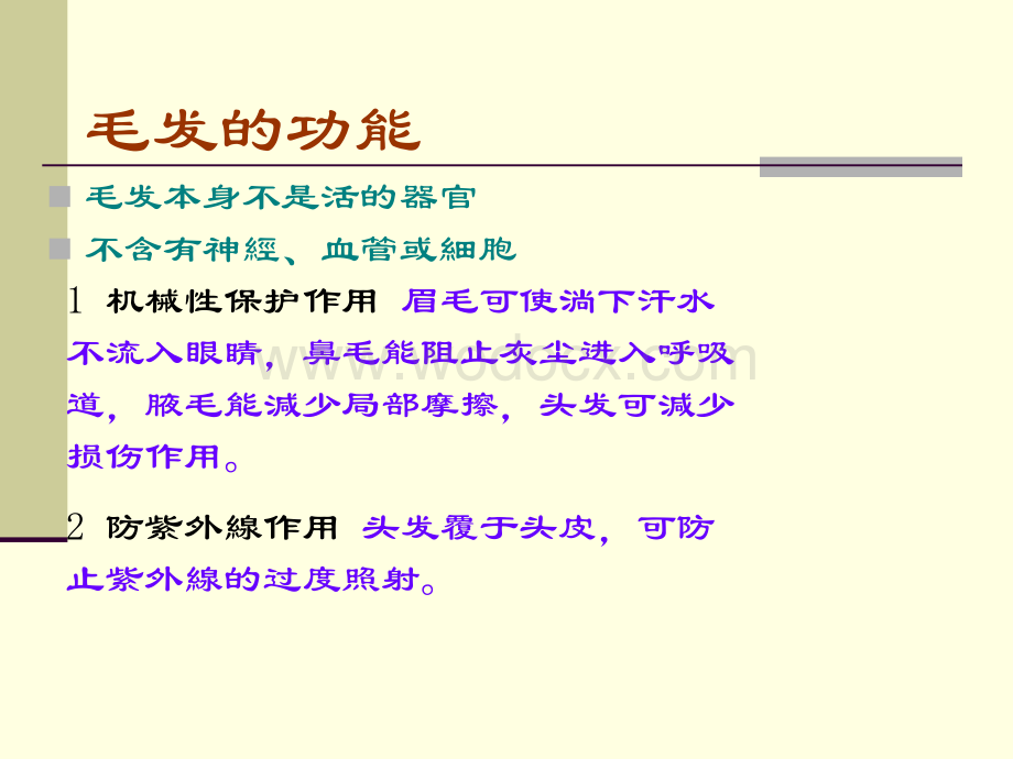 皮肤学与皮肤美容学课件(第五讲-).ppt_第3页