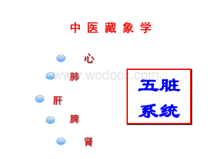 心肺肝脾肾中医藏象学.ppt