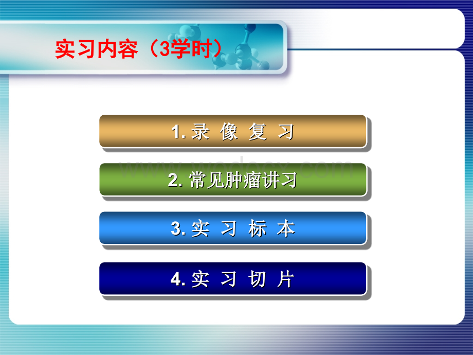 实习08 肿瘤的生长与扩散、良恶性、癌与肉瘤介绍课件.ppt_第2页