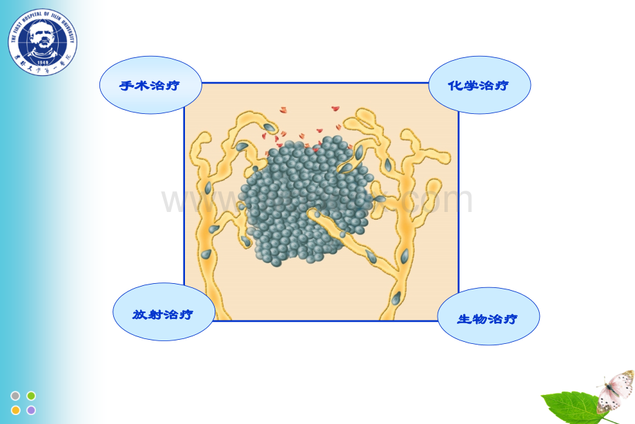 肿瘤化疗优化方案.ppt_第2页