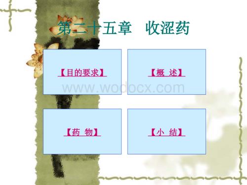 18 收涩药医学课件.ppt