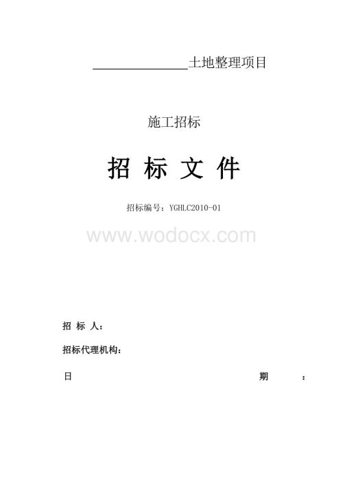 土地开发整理招标文件.doc