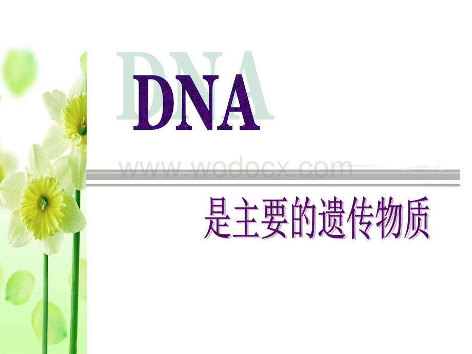 DNA是遗传物质.ppt_第1页