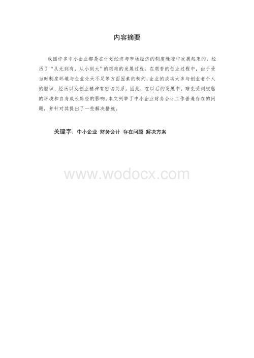 中小企业财务会计问题.doc