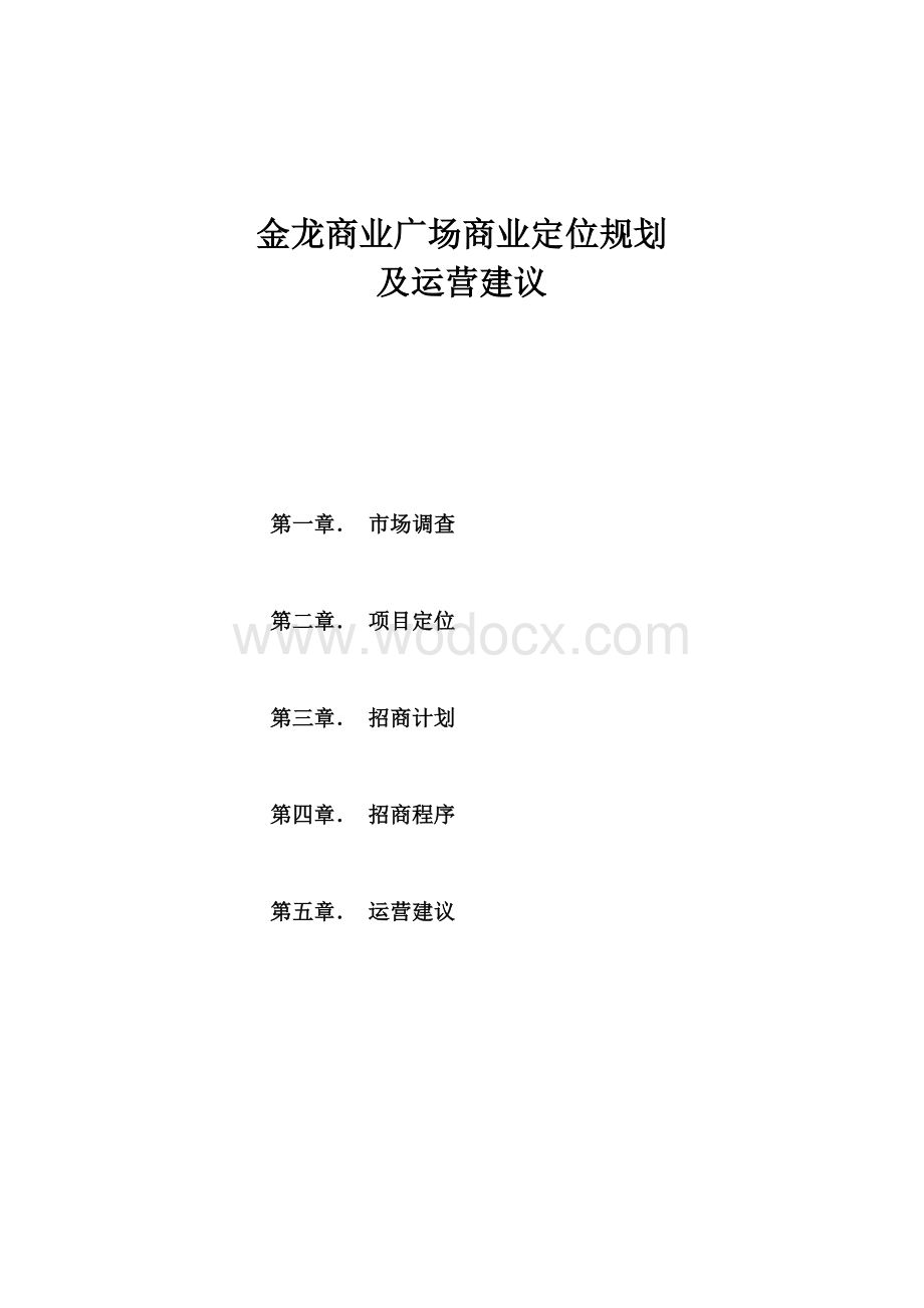 金龙商业广场商业定位规划及运营建议.doc_第1页