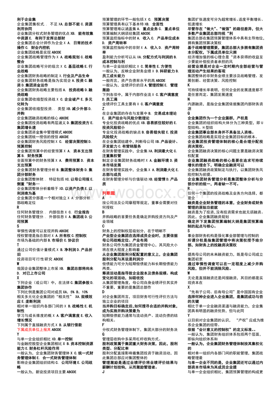 新】企业集团财务字母排版.doc_第2页