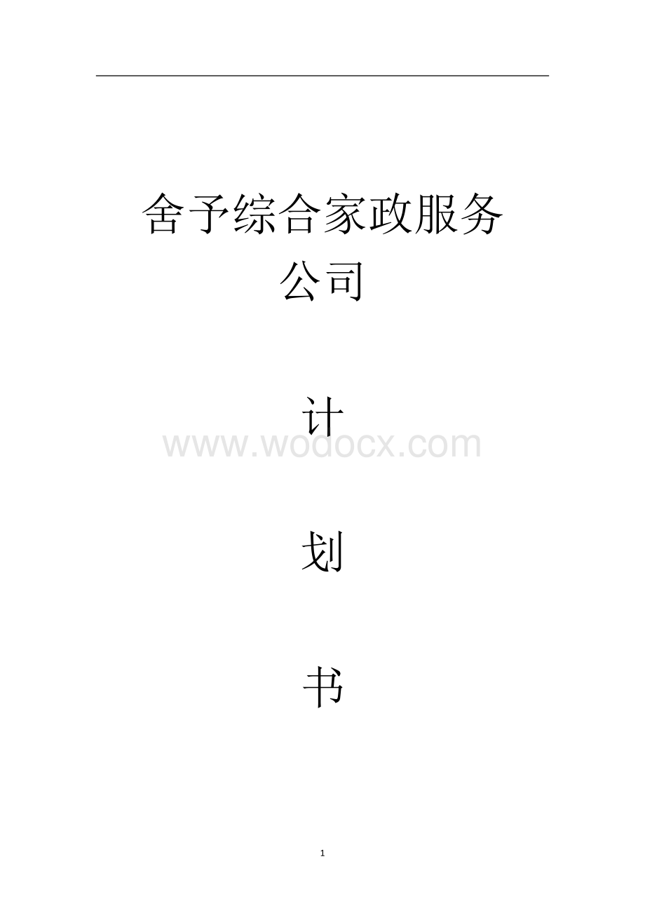 某某综合家政服务公司策划书.doc_第1页