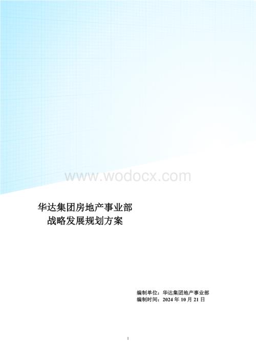 某集团战略发展规划.doc