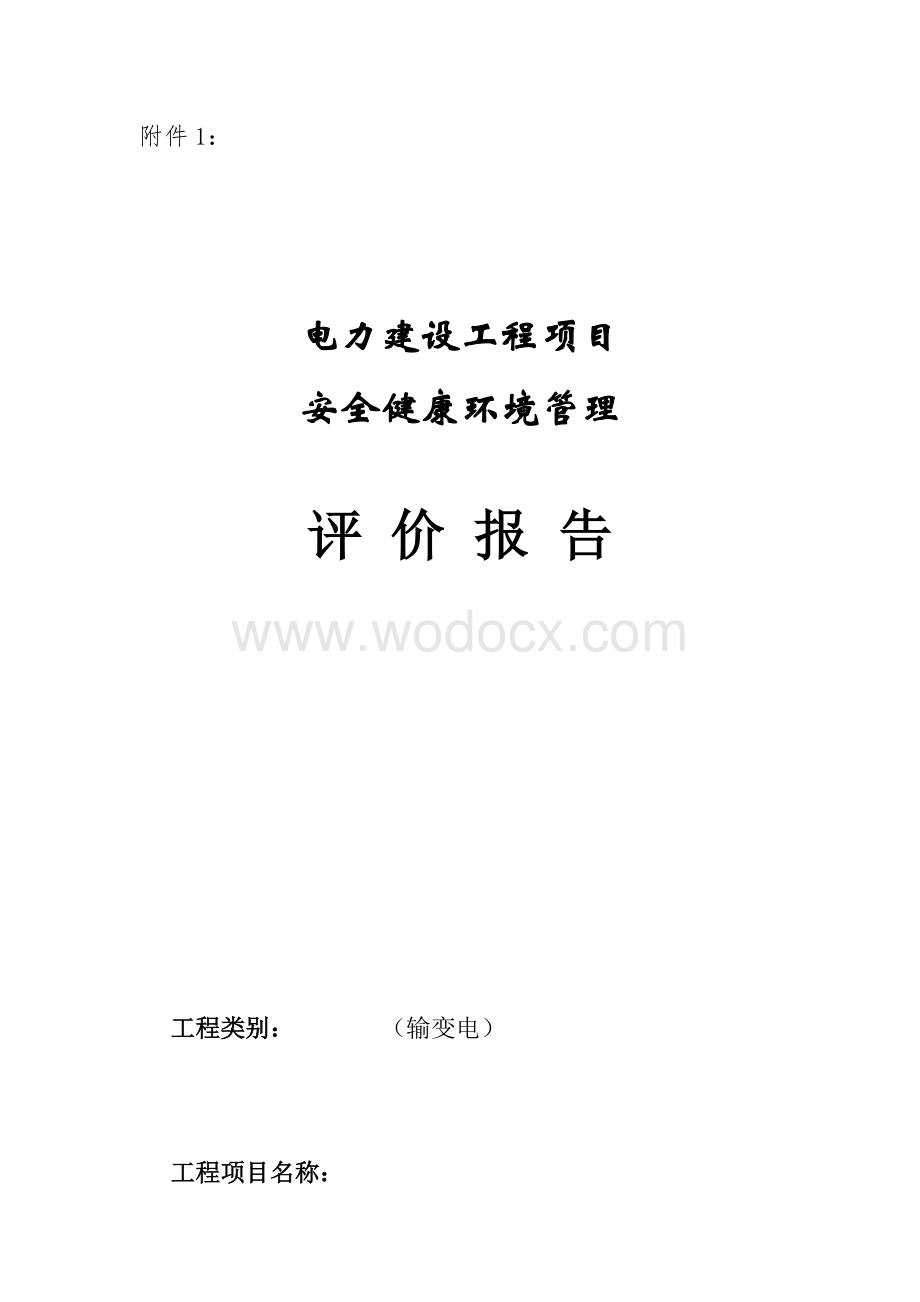 安全评价报告格式.doc_第1页