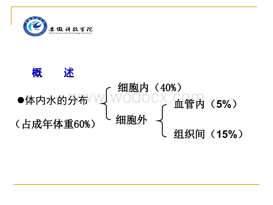 4版家畜病理学课件-第三章：水盐代谢及酸碱平衡紊乱.ppt_第2页