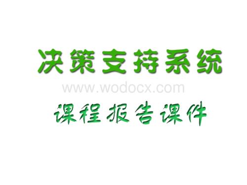 决策支持系统课程报告课件.ppt