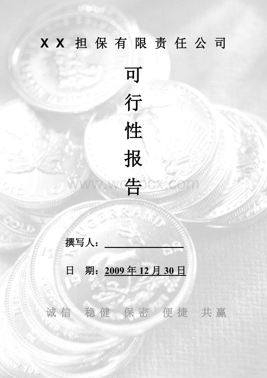 XX担保有限责任公司可行性报告.doc_第1页