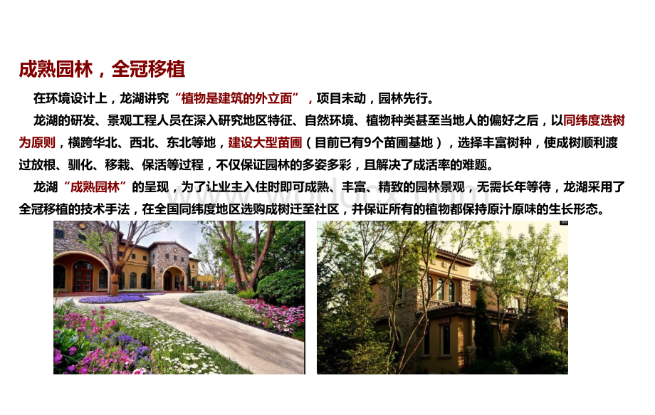 龙湖景观研究成果分享（一）.ppt_第3页