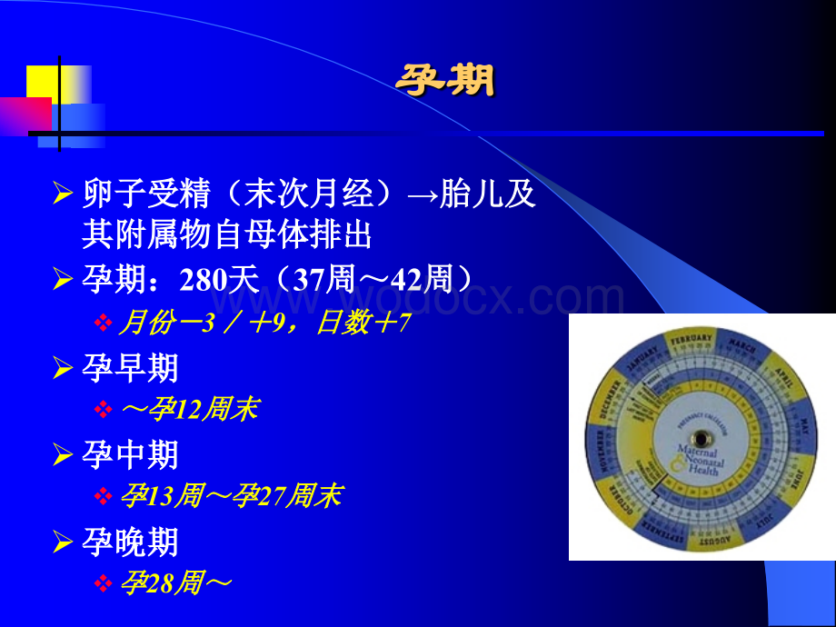 【孕妇营养】孕妇营养讲座课件 (1).ppt_第3页