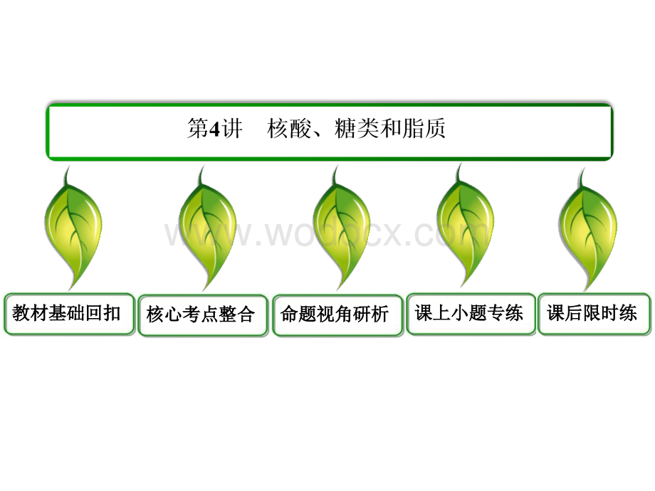 2014届高三生物一轮复习专题课件必修 14 核酸、糖.ppt_第3页