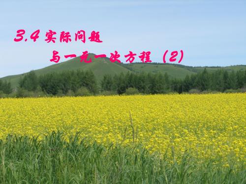 34_实际问题与一元一次方程--油菜种植的计算.ppt