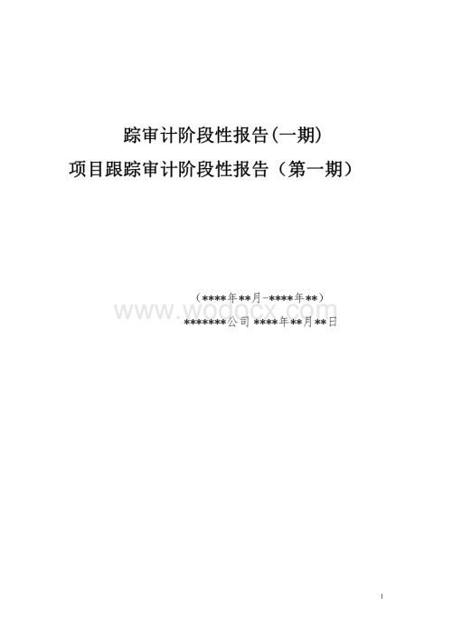 踪审计阶段性报告.pdf