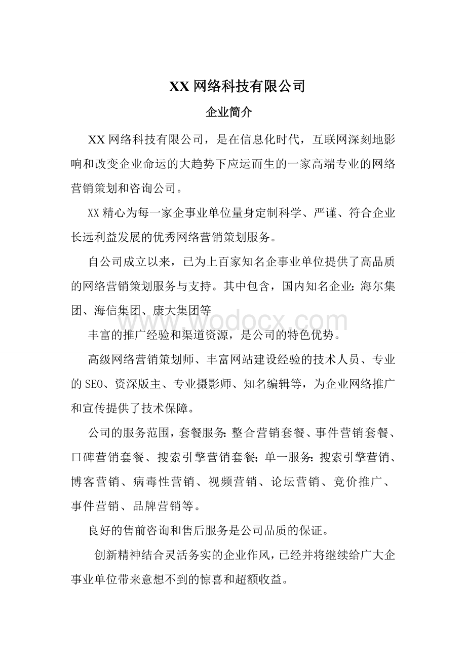 网络公司企业简介.doc_第1页