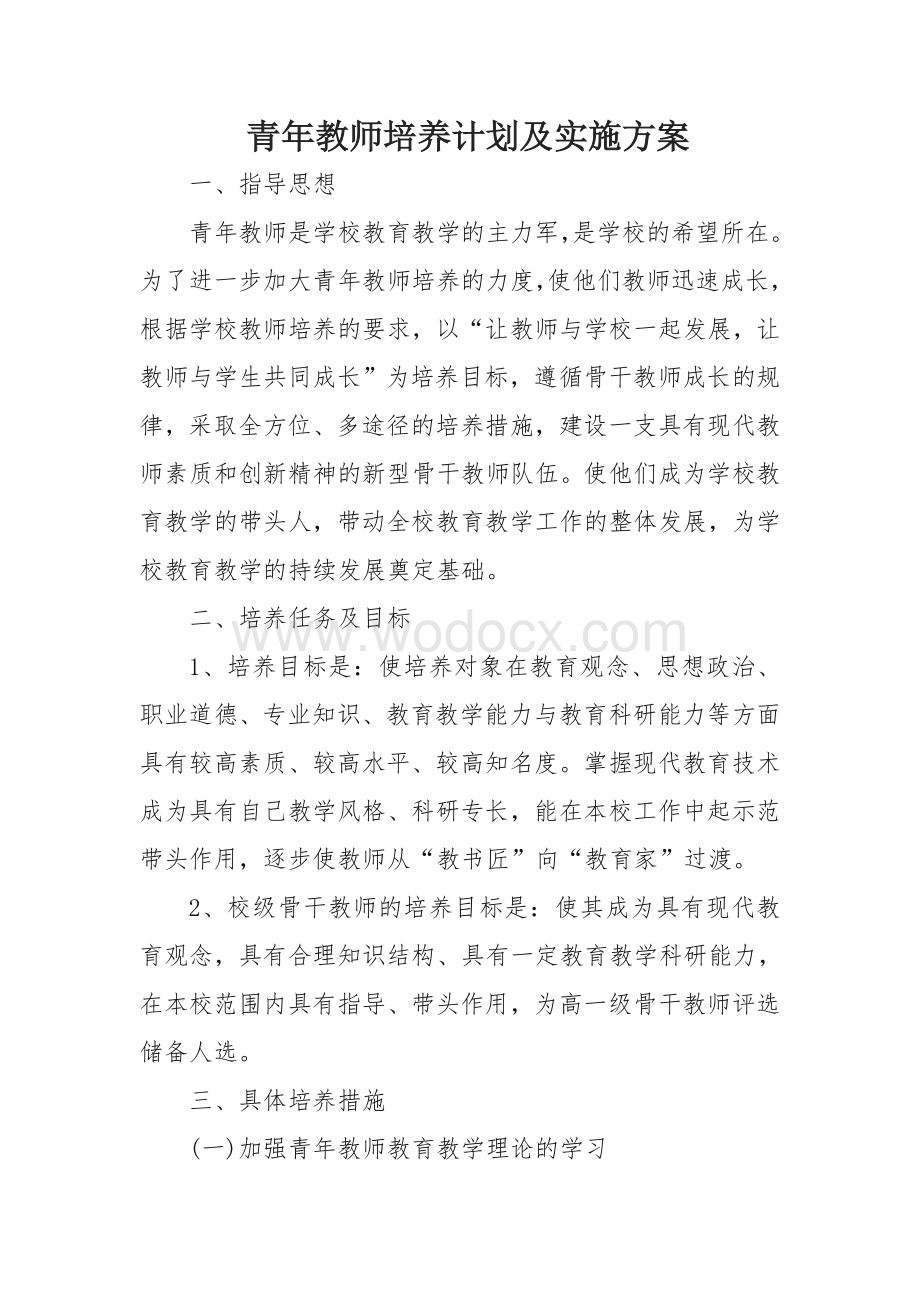 青年教师培养计划及实施方案.doc_第1页