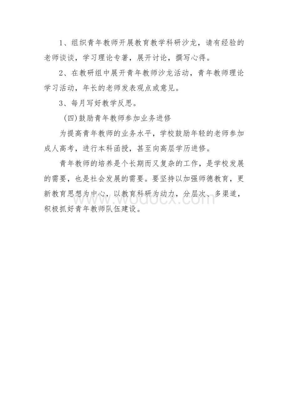 青年教师培养计划及实施方案.doc_第3页