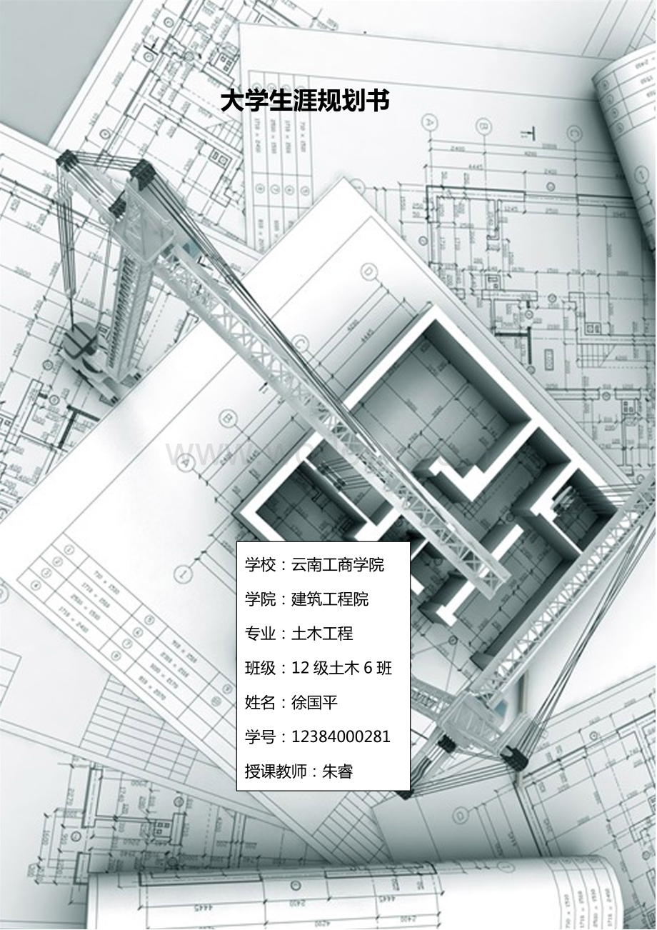 大学生职业规划.doc_第1页