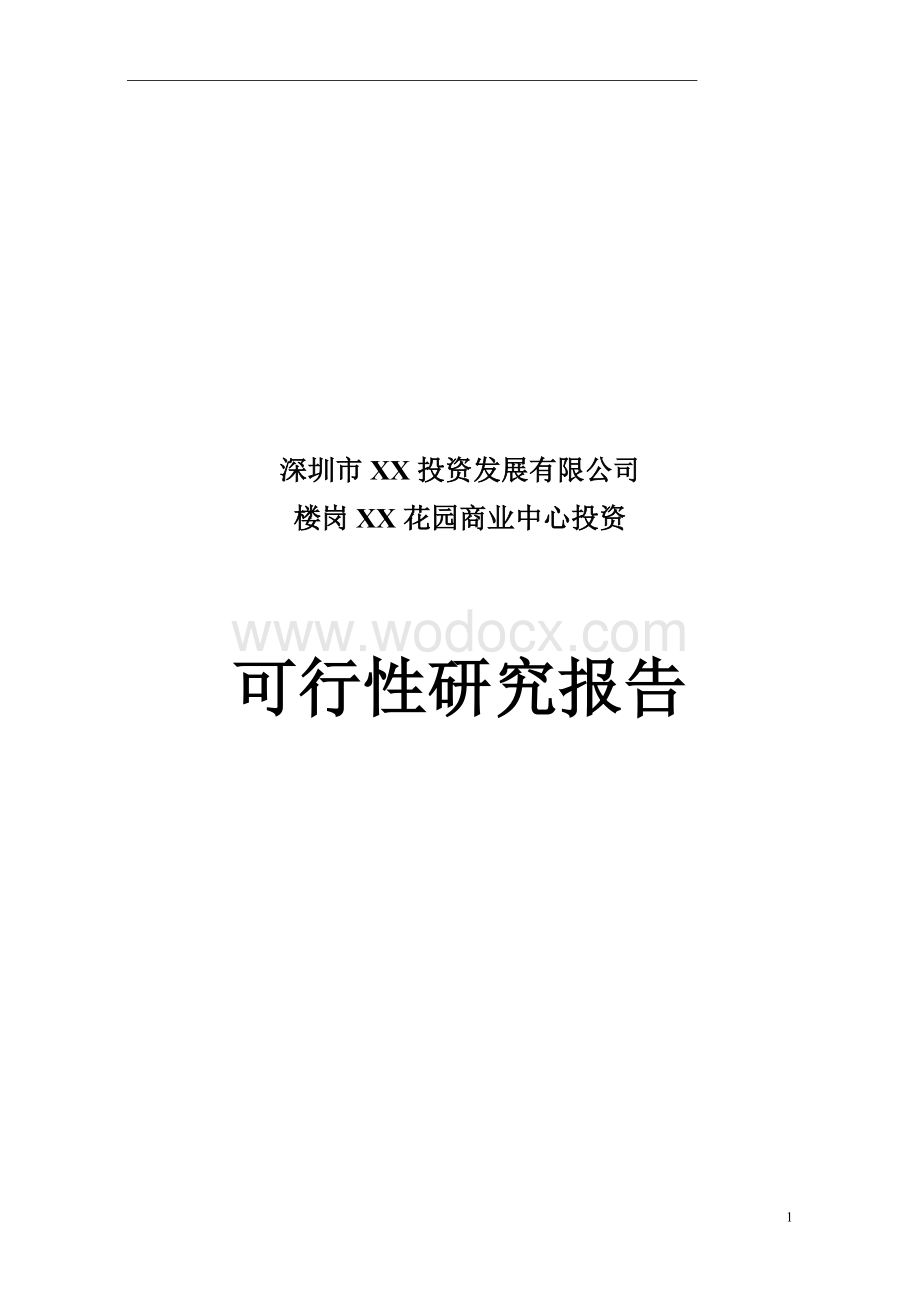 XX投资可行性报告.doc_第1页