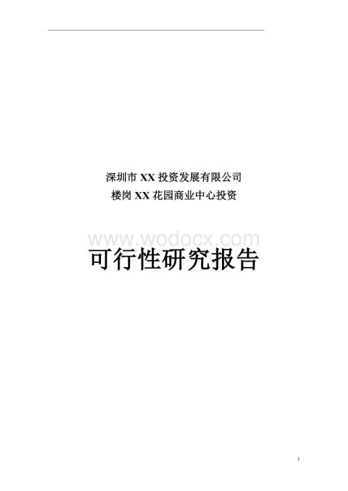 XX投资可行性报告.doc