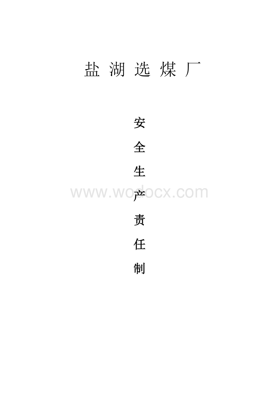 盐湖选煤厂岗位责任制(管理人员).doc_第1页