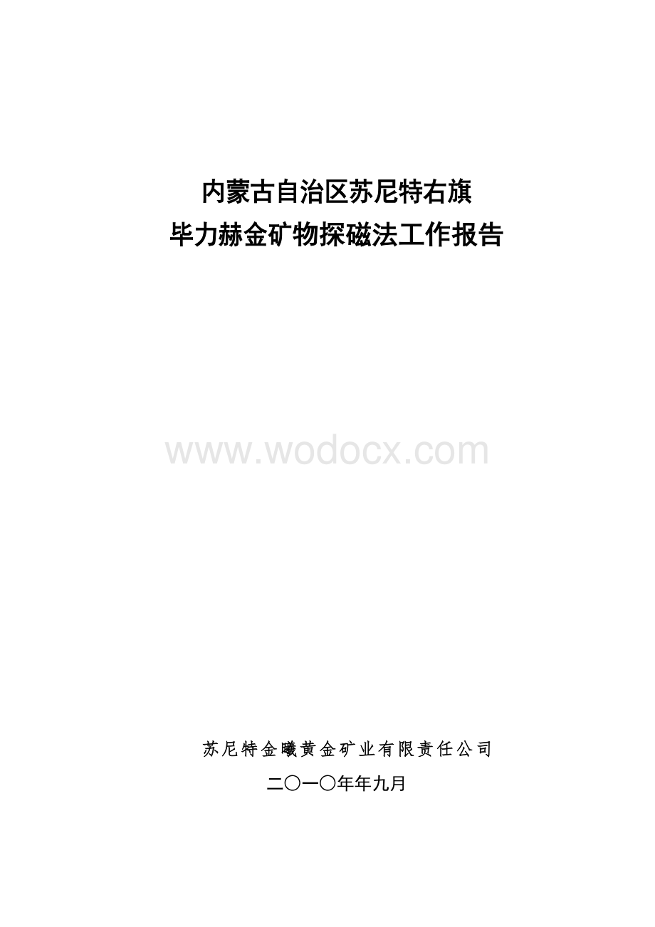 金矿物探磁法工作报告.doc_第1页