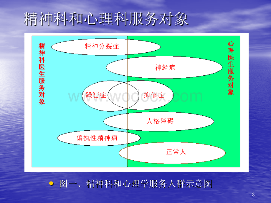 01精神科医生如何做好心理治疗.ppt_第3页