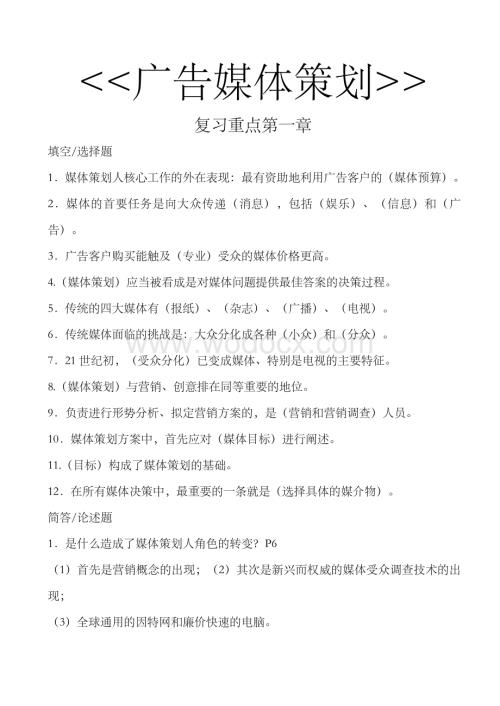 广告媒体策划.docx