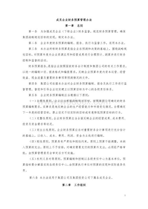 成员企业财务预算管理办法.doc