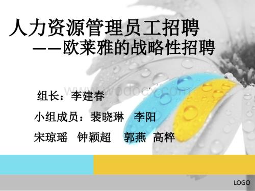 人力资源管理之员工招聘的成功案例.ppt