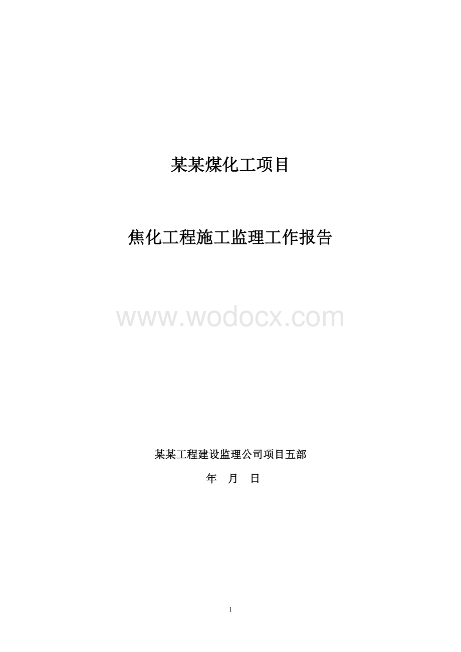 煤化工项目工作报告.doc_第1页