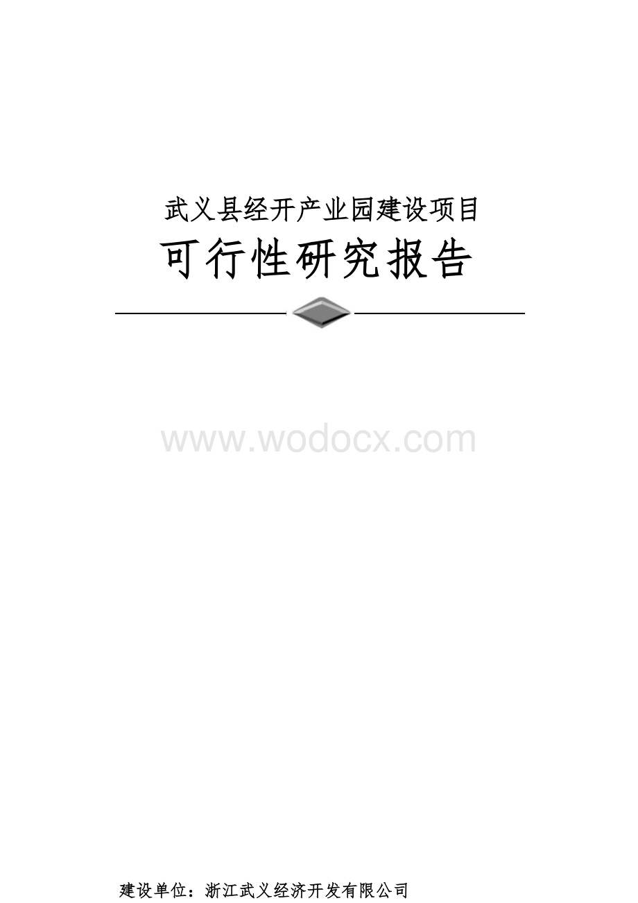 武义县经开产业园建设项目可研报告.docx_第1页