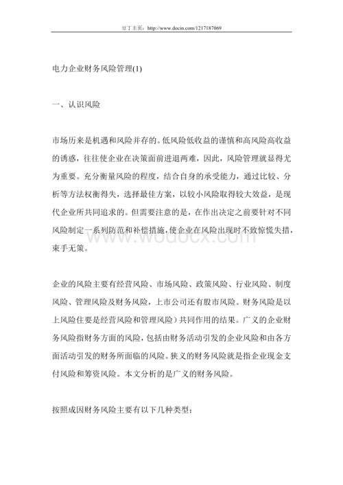 电力企业财务风险管理.doc