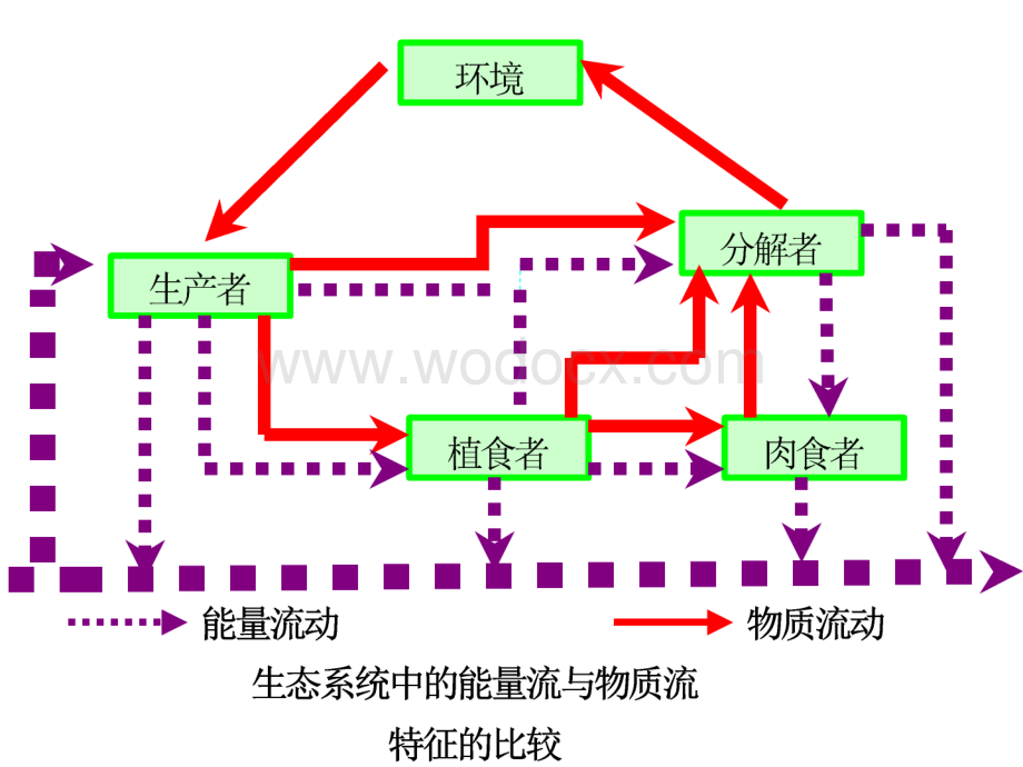 环境生态学课件4生态系统的物质循环.ppt_第3页