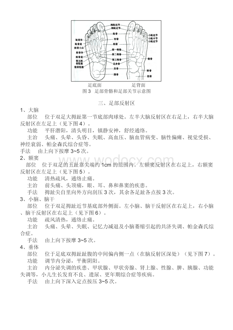 实用足部反射区和穴位图解.doc_第2页