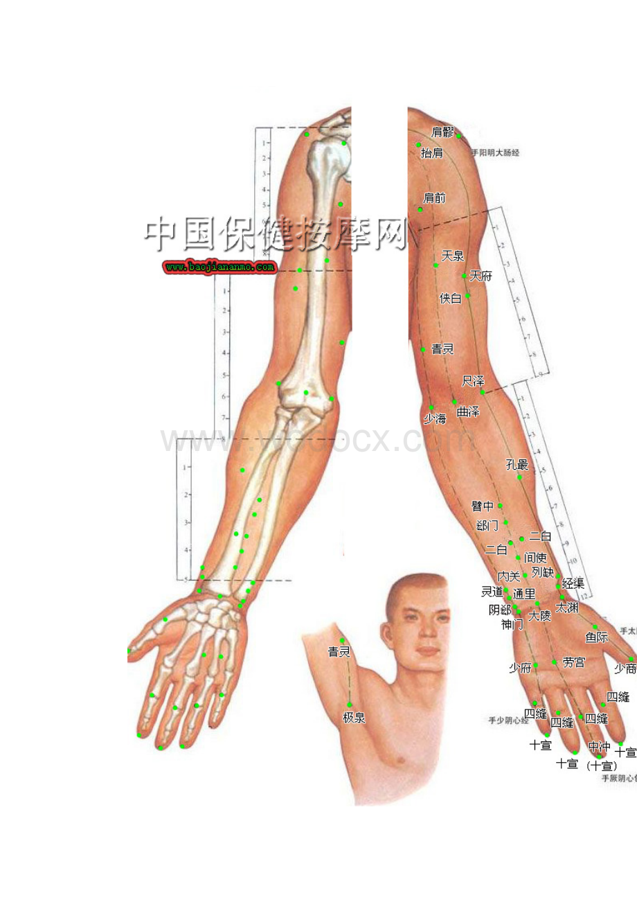 人体穴位分布图(超清晰彩图版).doc_第2页
