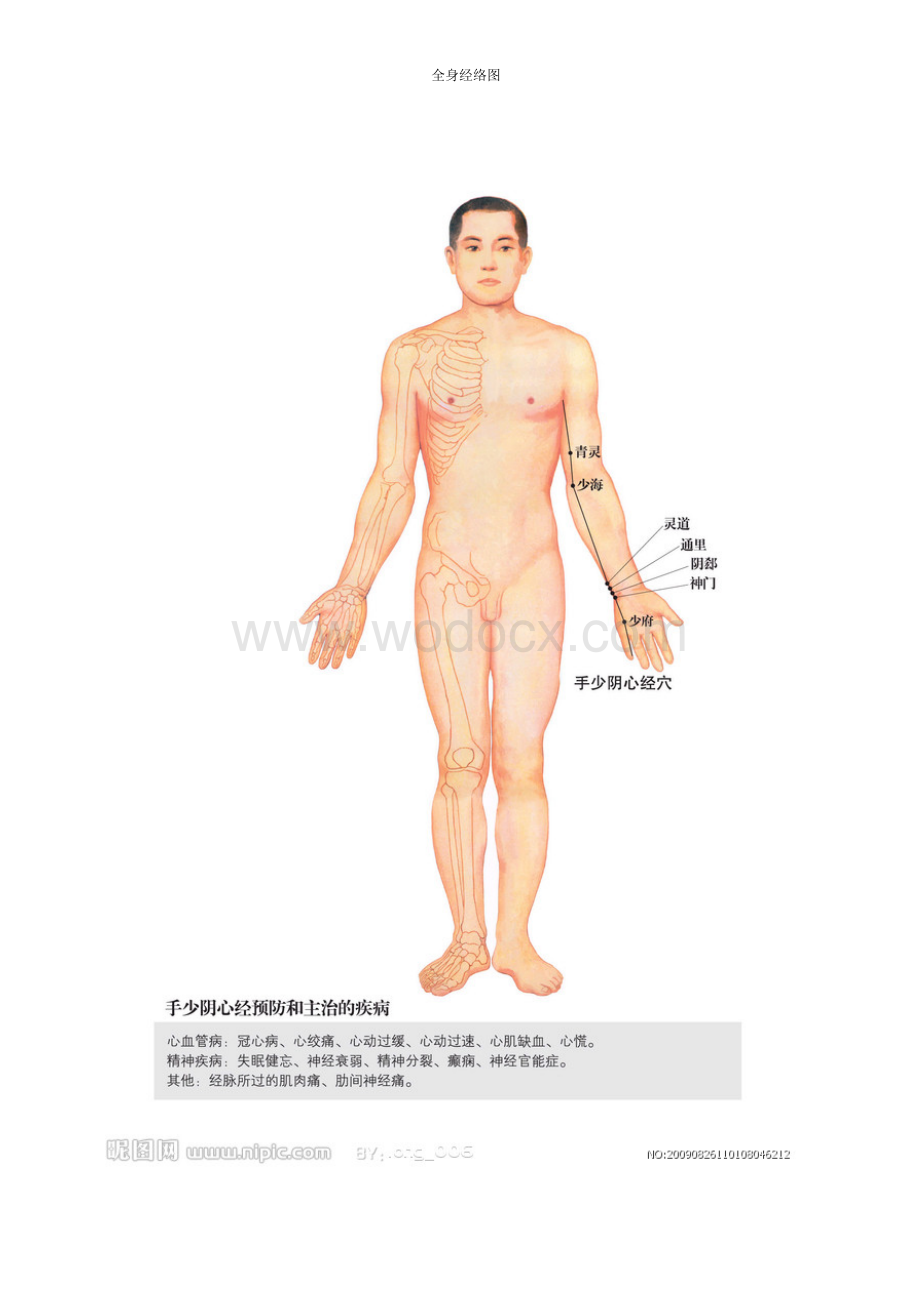 全身经络示范图.doc_第2页