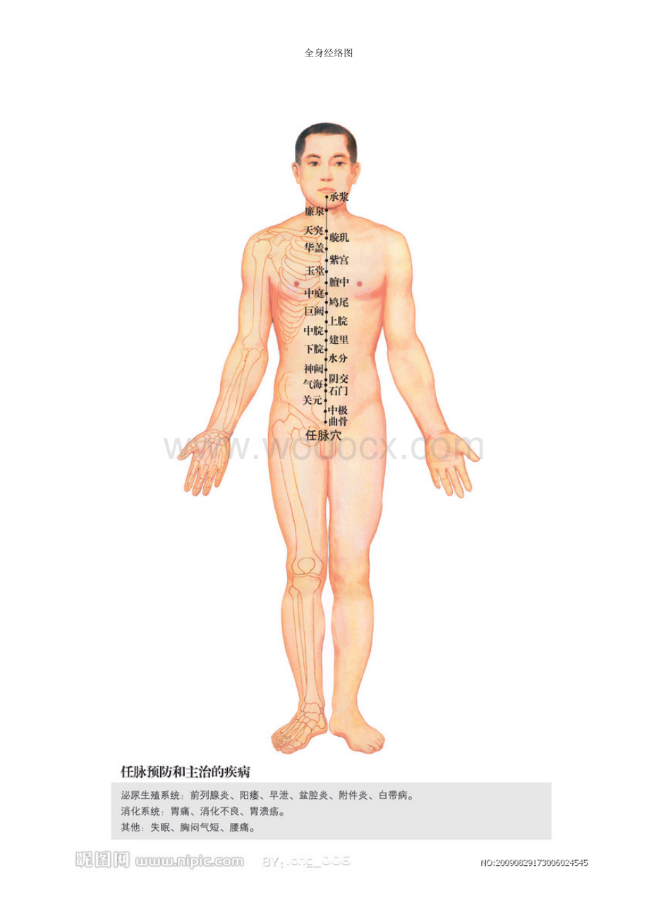 全身经络示范图.doc_第3页