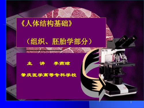细胞（组织、胚胎学部分）.ppt