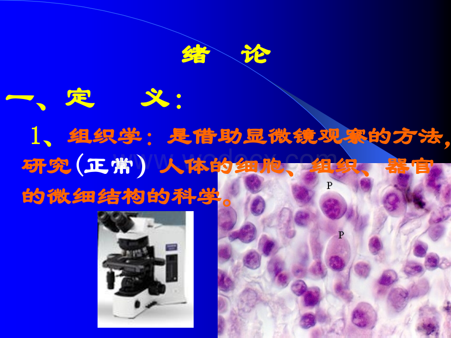 细胞（组织、胚胎学部分）.ppt_第2页