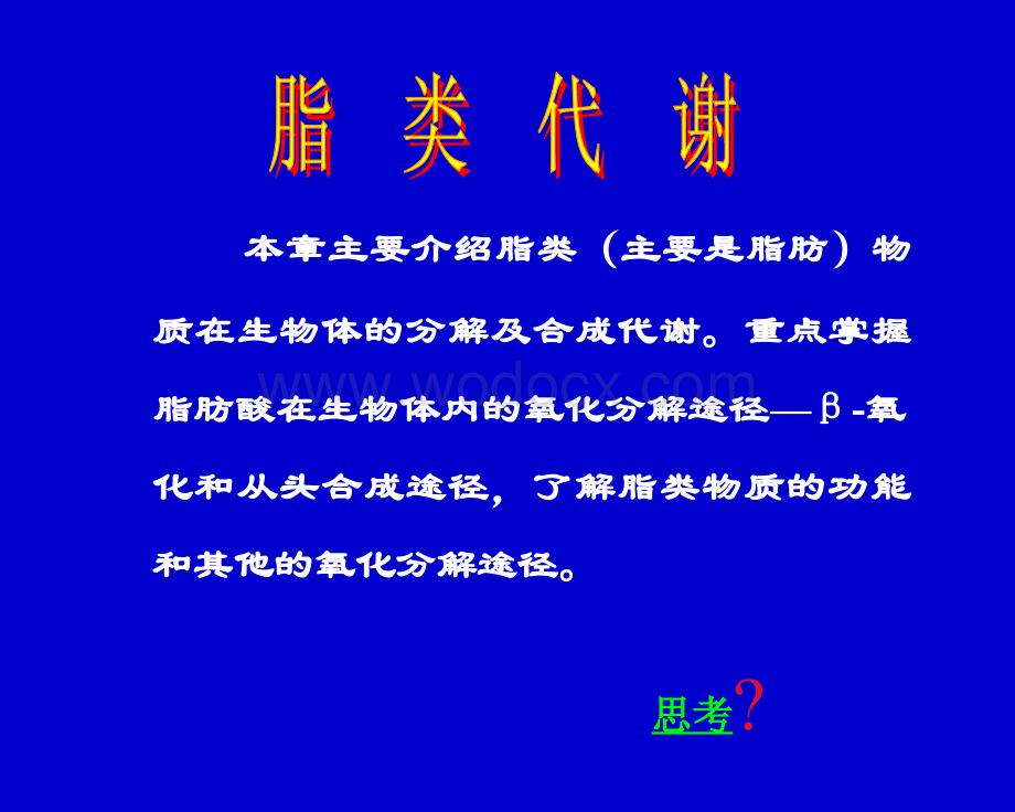 脂代谢教学课件.ppt_第1页