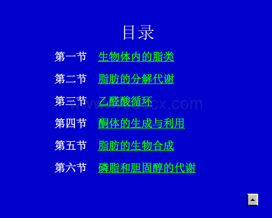 脂代谢教学课件.ppt_第2页