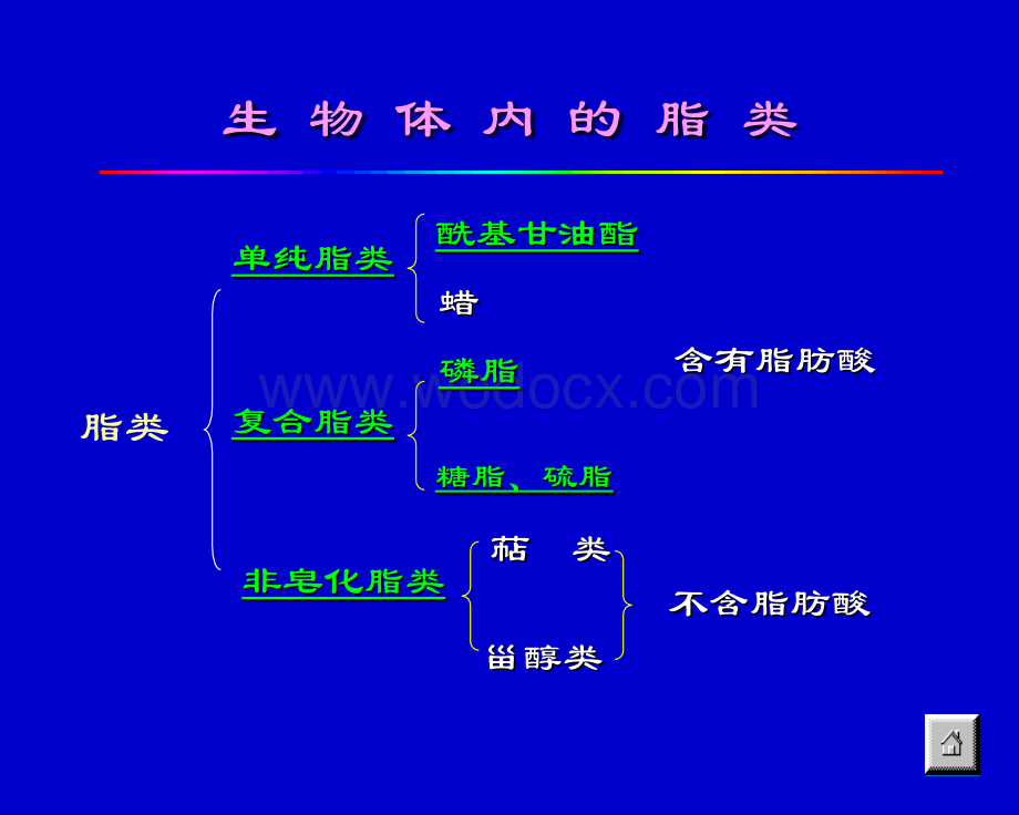 脂代谢教学课件.ppt_第3页